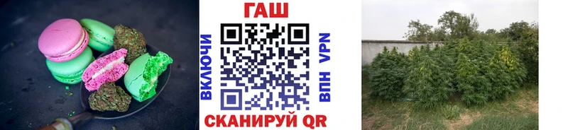 Еда ТГК марихуана  даркнет сайт  Богданович 