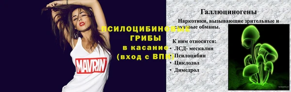 твердый Алексин