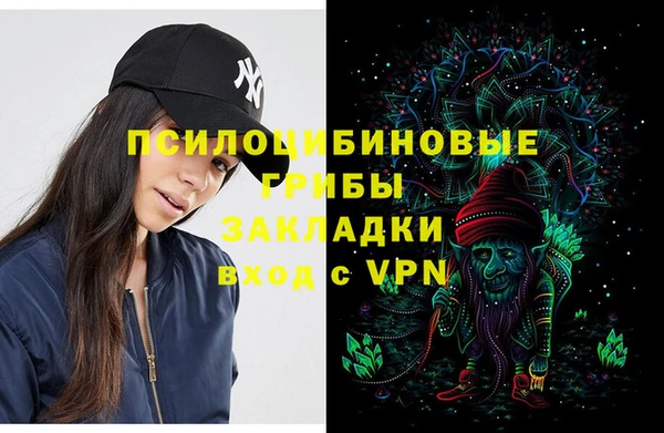 твердый Алексин