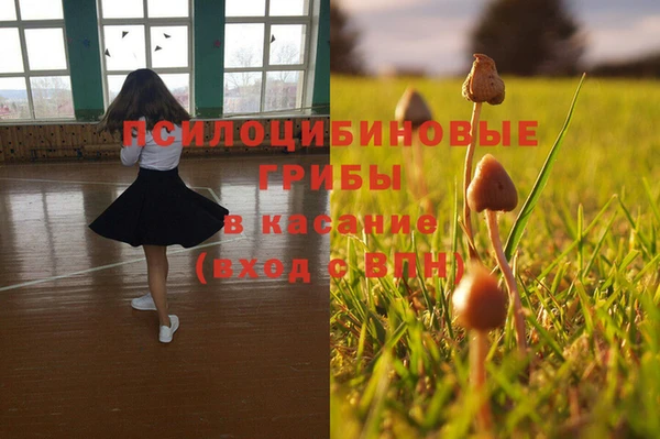 трава Абаза
