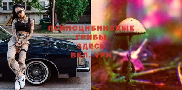 твердый Алексин